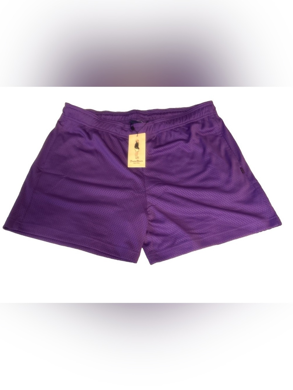Rowing Blazers Purple Athletic Mesh Shorts